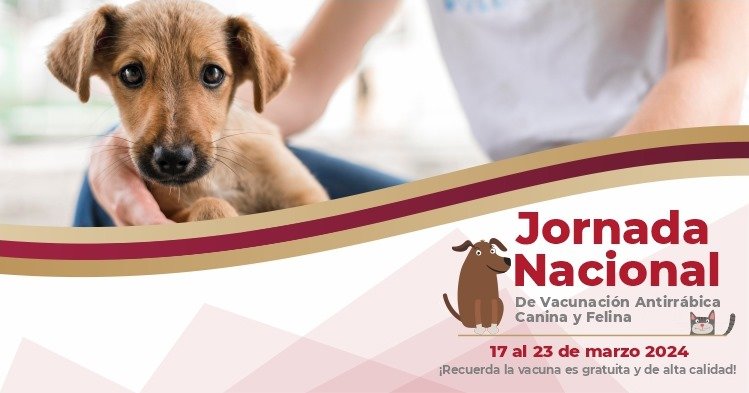 Imagen de Exitosa Jornada de Vacunación de Mascotas en Tzucacab
